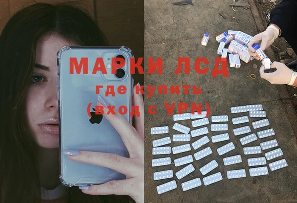 спайс Богородицк