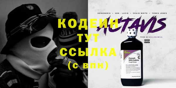 крисы Бородино