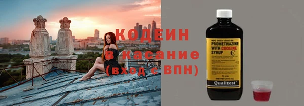 крисы Бородино