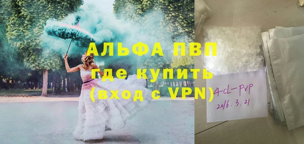 винт Верея