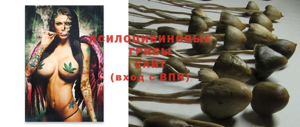 таблы Бронницы