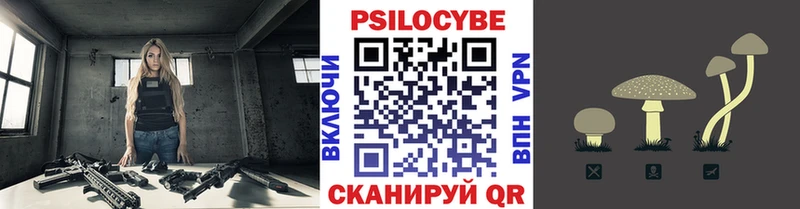 Псилоцибиновые грибы GOLDEN TEACHER где купить Вельск